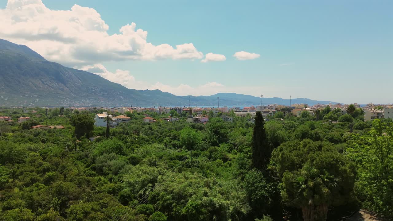 Aerial footage. flying over famous olive grove at Kalamata, beautiful view of Taygetos mountain in the background 4K