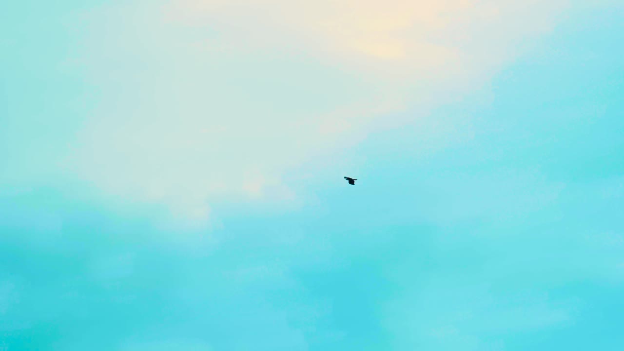 낮에는 방글라데시의  ⁇ 은 파란 하늘에서 날아다니는 독수리