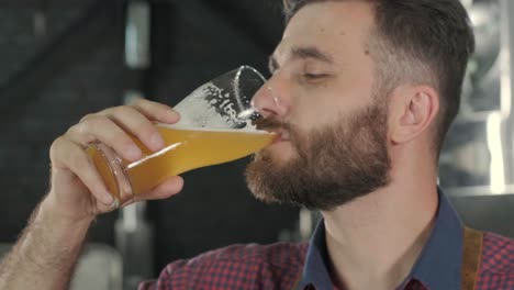 young brewer wearing a leather apron is tasting beer at a modern brewery