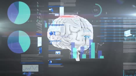 animación del procesamiento de datos financieros sobre el giro del cerebro