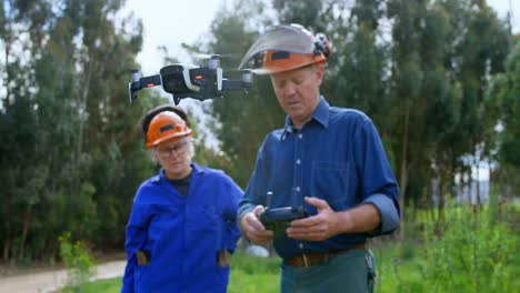 leñadores que operan drones en el bosque 4k