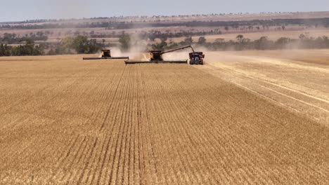 This-footage-captures-the-synergy-of-modern-agricultural-technology,-showcasing-the-essential-role-of-header-fronts-in-the-wheat-harvesting-process