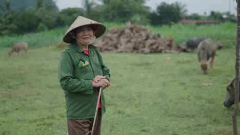 elderly vietnamese farmer