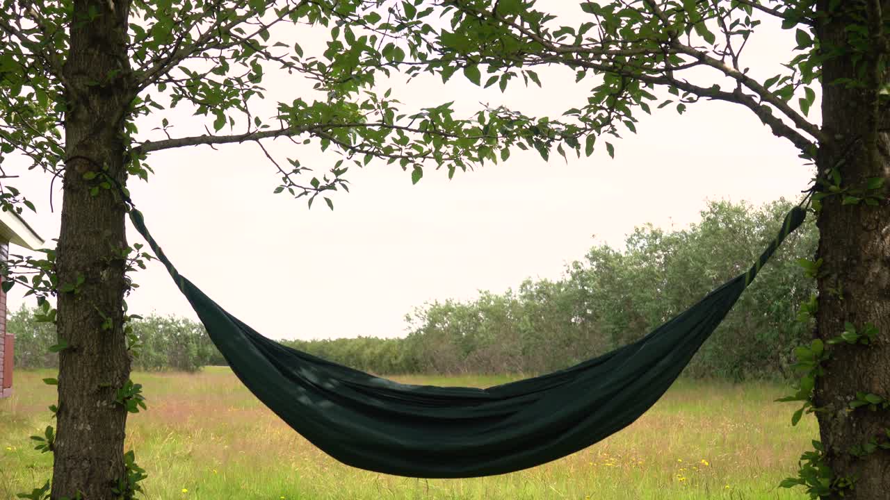 작은 공원에 해먹이 있는 나무들