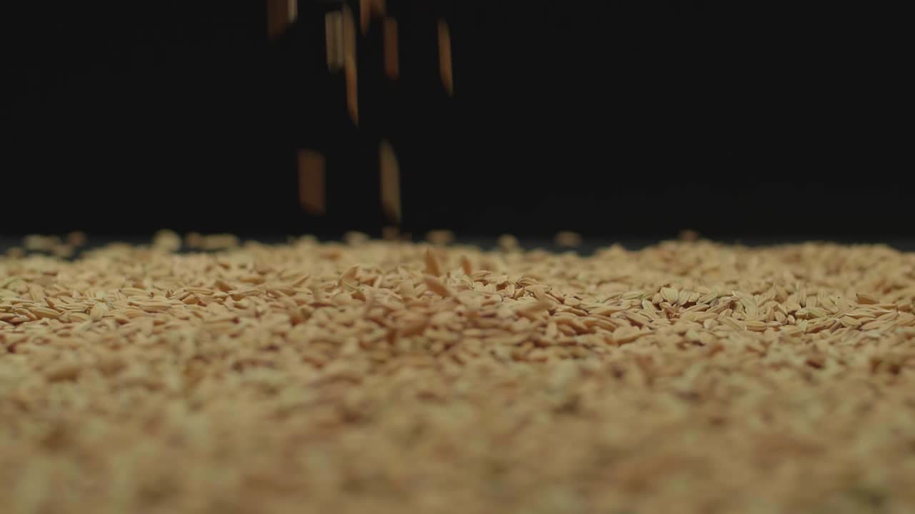 Dry Brown Rice Grain Is Poured From Top To Bottom. Brown Grains Fall On A Light Background