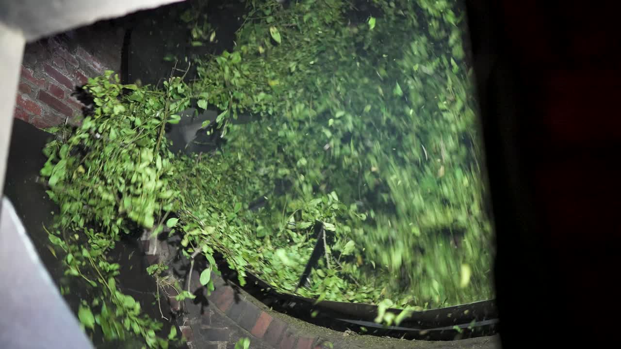 Closeup, Yerba mate drink green leaves rotation in industrial processing machine