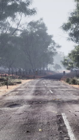 empty road in the outback