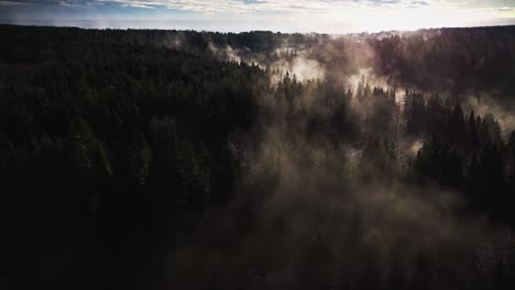 Nebliger-Morgen-über-Einigen-Bäumen-Und-Einem-Fluss,-Aufgenommen-Von-Einer-Drohne-In-4k-60fps