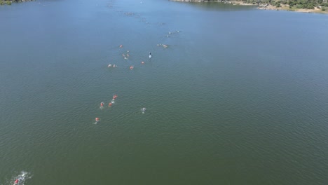 Vuelo-Con-Dron-En-El-Embalse-Del-Burguillo-Donde-Se-Realiza-Una-Prueba-De-Resistencia,-Vemos-Un-Gran-Número-De-Nadadores-Participantes-Con-Boyas-Y-Un-Controlador-Sobre-Una-Tabla-De-Surf-Blanca