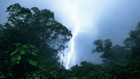 lightning striking illuminates a lush tropical rainforest, creating a dramatic scene filled with energy and power