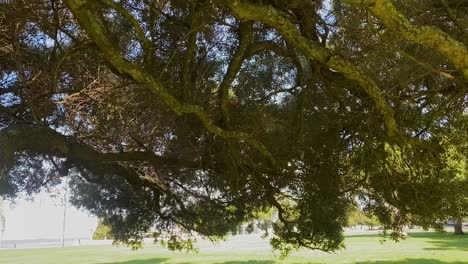 wide-view-in-slow-motion-at-gardens-of-Torre-de-Belem,-Lisbon,-Portugal