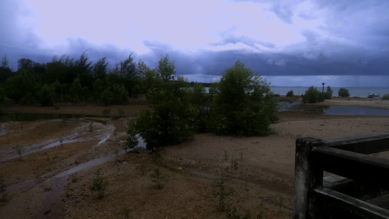 mirando a su alrededor en una pequeña playa en tailandia