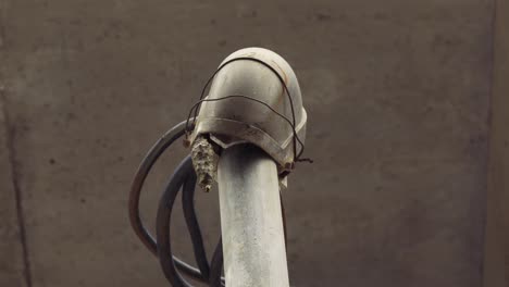 butterfly chrysalis hanging from an electric sevice cap on a construction site displaying nature's resilience in face of urbanization and habitat ocupation by human infrastructure