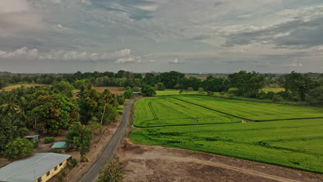 Guarumal-Panama-Aerial-V2-Filmische-Landschaft-überführung-Ländliches-Gebiet-Aufnahme-Einer-Schmalen-Landstraße-Mit-Spärlichen-Kleinen-Hütten-Und-Einem-Bauernhaus-Neben-Kultiviertem-Ackerland---Aufgenommen-Mit-Mavic-3-Cine---April-2022