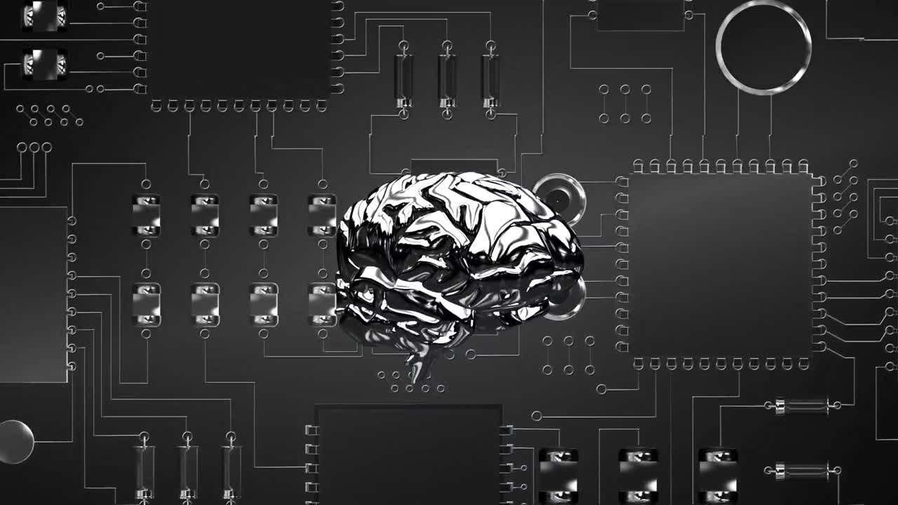 뇌와 디지털 회로