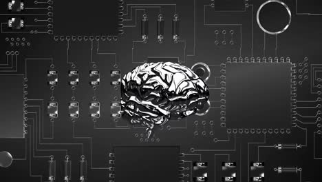 Brain and digital circuit