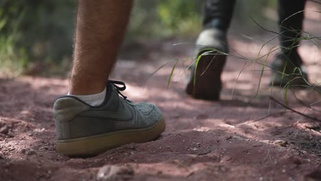 excursionistas de cultivos caminando en el bosque durante el trekking