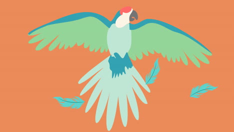 animation of green bird flying on orange background