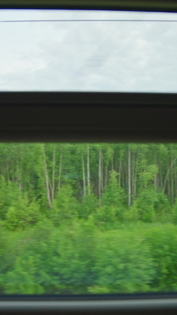 View from a Moving Vehicle Window of Green Forest and Power Lines