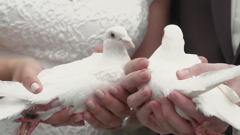 the newlyweds hold white doves