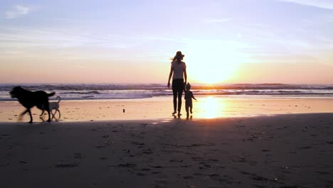 A-mother-holds-hands-and-walks-with-her-child-at-the-beach-as-their-dogs-play-at-low-tide-with-a-beautiful-setting-sun