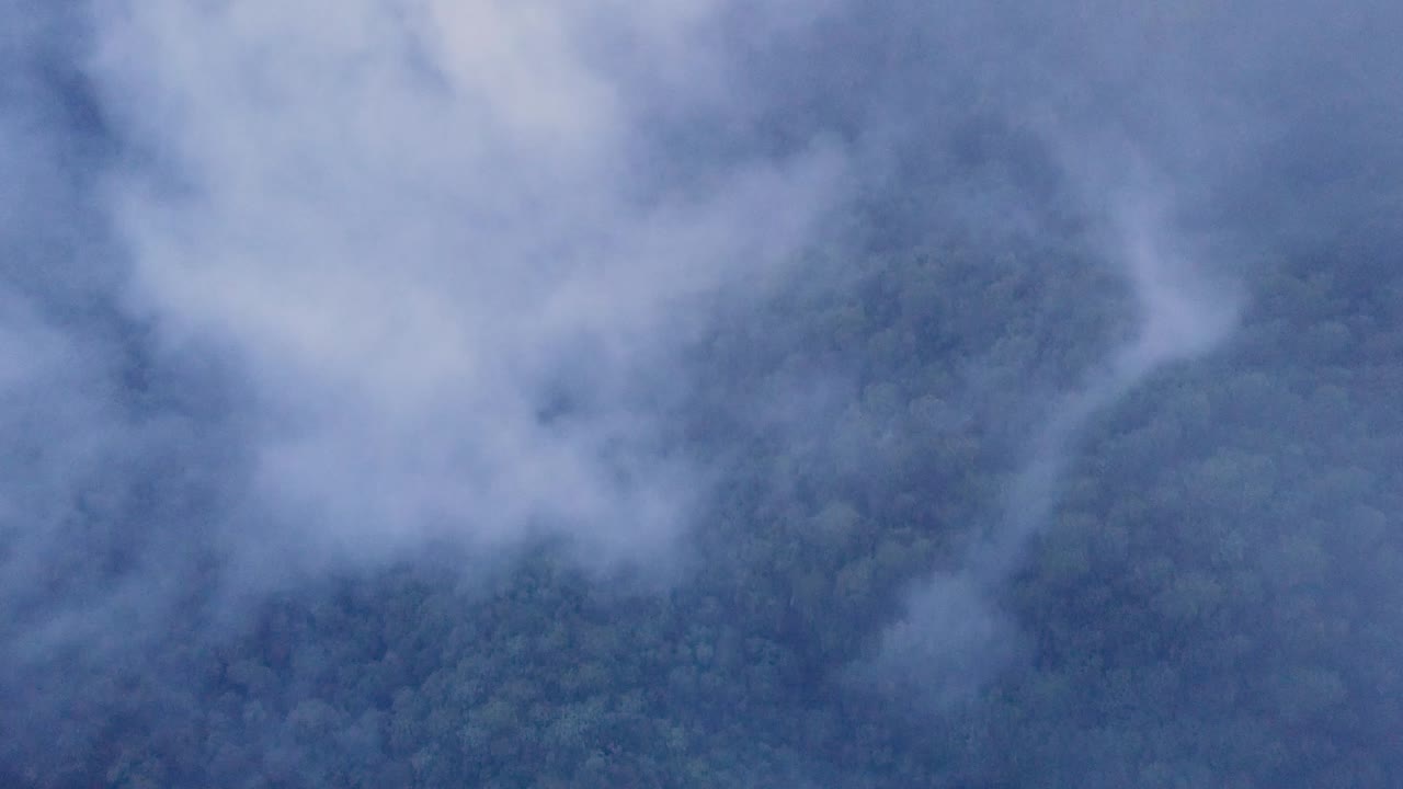 Cenital Drone Flight Over Lush Green Forest with Clouds in San José del Pacífico, Oaxaca