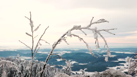 Kleiner-Gefrorener-Ast-Mit-Schnee--Und-Eisschicht,-Der-Sich-Vom-Gewicht-Nach-Unten-Beugt