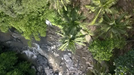 aerial flying overhead a trees and river, tegenungan, stunning river course in bali, indonesian