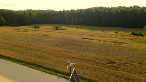 Goldenes-Weizenfeld-In-Der-Polnischen-Landschaft