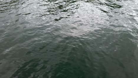 Looking-Down-Into-Deep-Dark-Calm-Ocean-At-Sunset-In-Sydney-Shoreline,-NSW-Australia