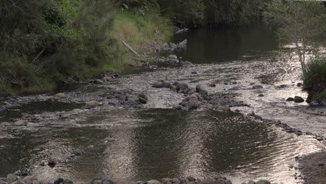 Vista-Media-De-Christmas-Creek-En-El-Pintoresco-Borde-Adyacente-Al-Campamento-Del-Parque-Burgess