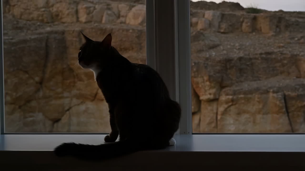 Cat silhouette on a windowsill looking out at a rocky landscape