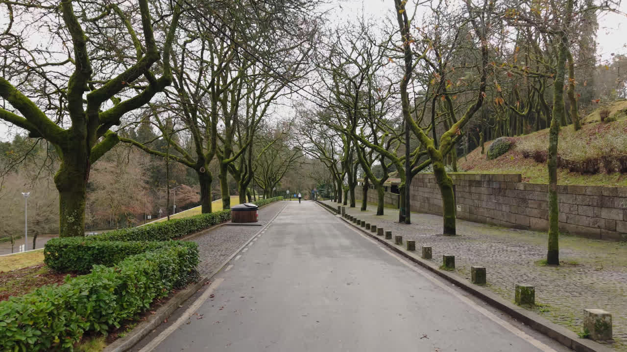 Single cyclist riding on quiet road lined with trees and street signs