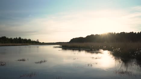 sunset over a serene marsh lake