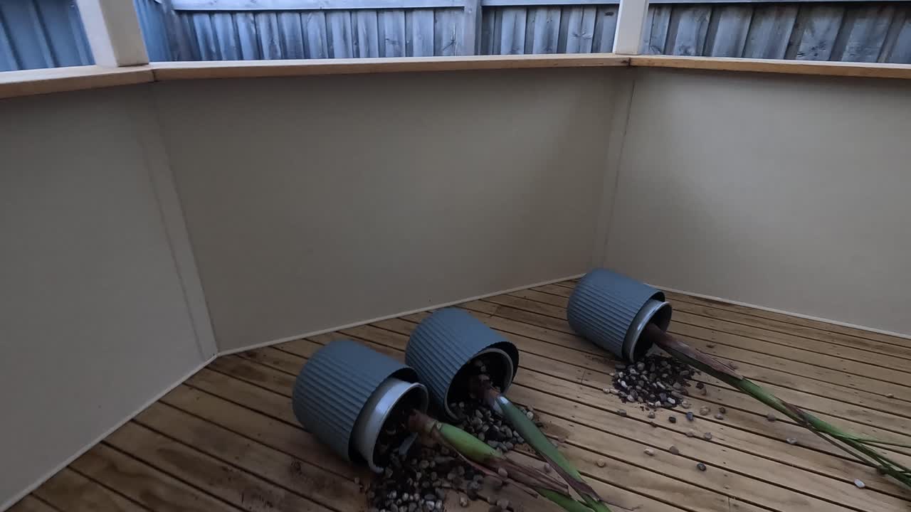 Kolme ruukkukasvia makaa kaatuneena puisella terassilla, kuvastaen myrskyn jälkeistä tilaa.