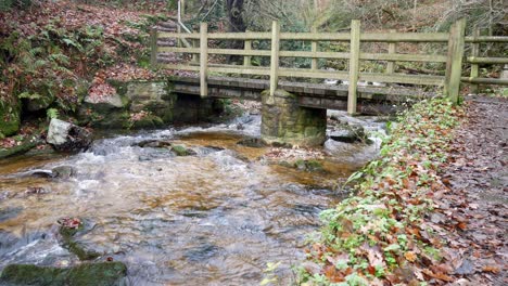 Fast-flowing-Autumn-countryside-river-and-rural-wooden-bridge-wilderness