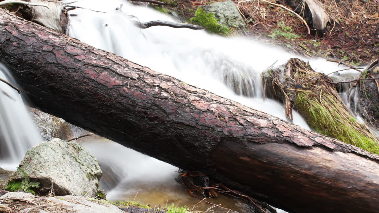 Sequioa Waterfall 00