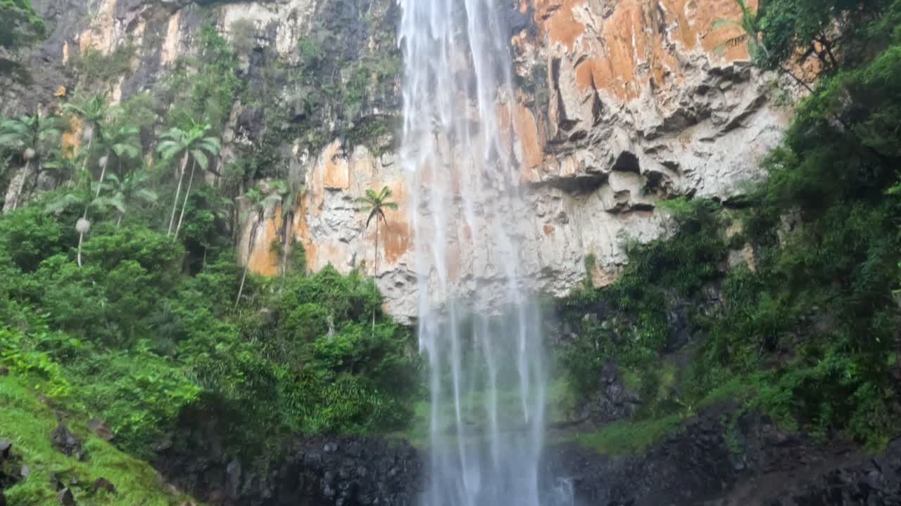 una cascada que cae por un acantilado rocoso en un bosque exuberante