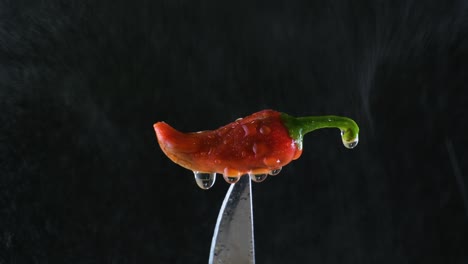 slow motion: red chili pepper on knife tip in water spray