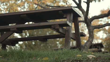 pan of wooden bench countryside picnic area