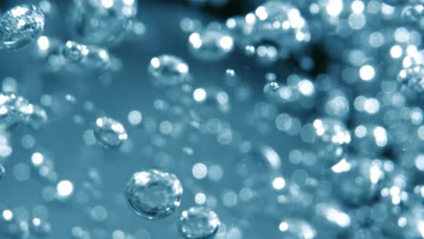 water bubbles macro