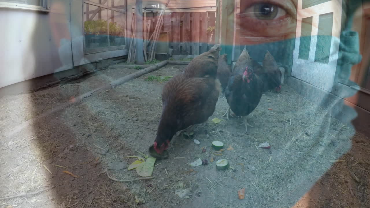 얼굴 마스크 를 착용 한 여자 를 상대로  ⁇  에서 먹고 있는  ⁇  들