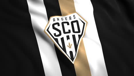 angers sco soccer team flag