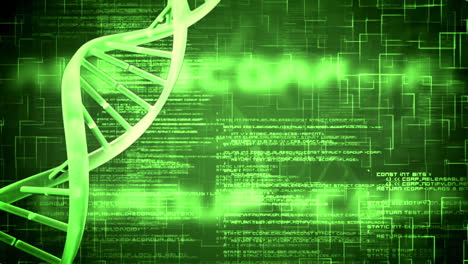 녹색 dna 나선과 날아다니는 텍스트