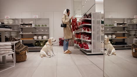 fashionable girl and dog shopping together for christmas and choosing gifts at a pet friendly home decor store