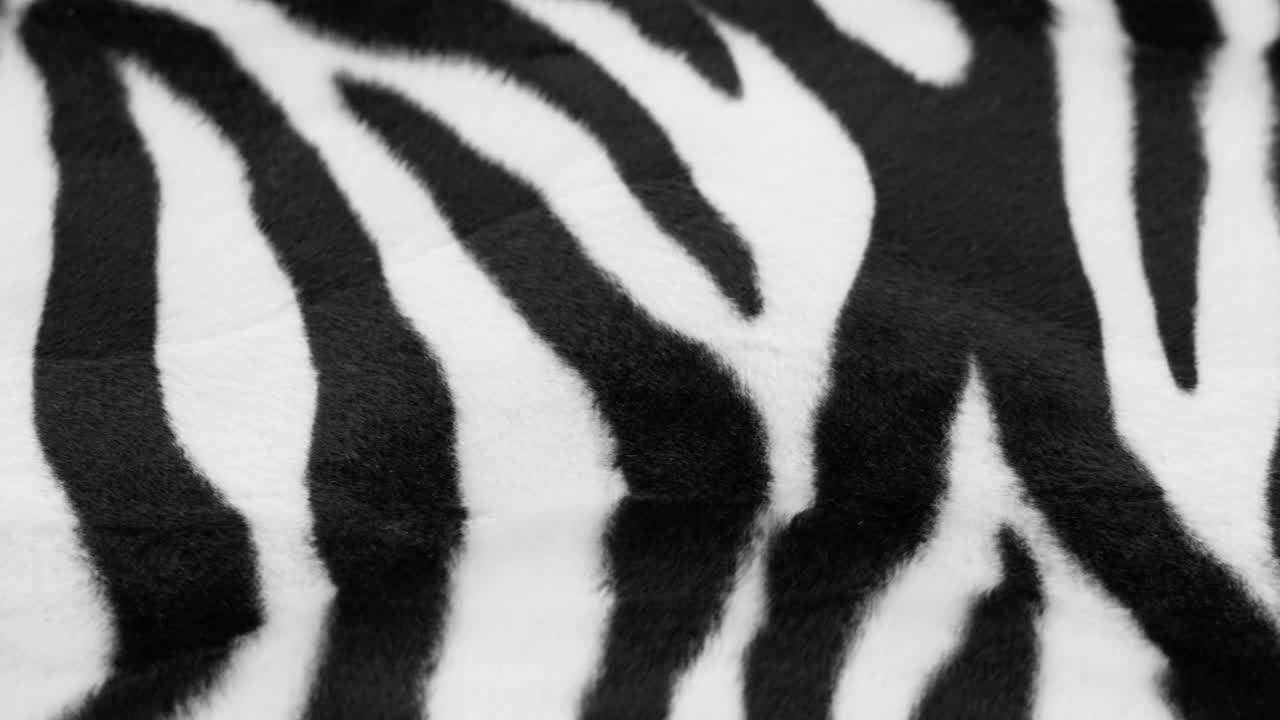 Primo piano di motivo zebrato in bianco e nero