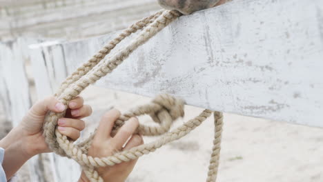 person tying a rope around a horse's head at a stable.