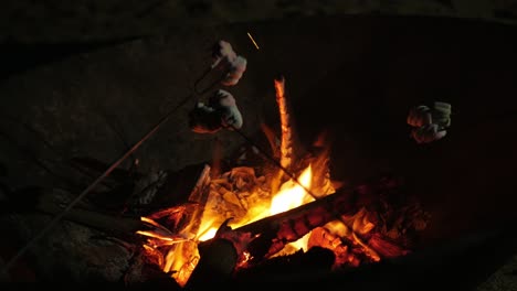 Roating-Mashmallow-Candy-En-El-Calor-De-La-Leña-Mientras-Acampa