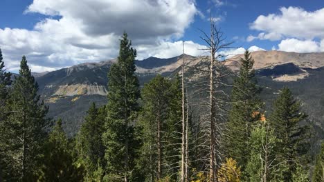 Timelapse-Del-Parque-Nacional-De-Las-Montañas-Rocosas-En-Un-Día-Soleado