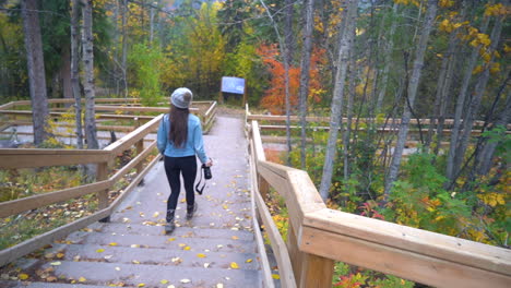 back view of female photographer walking with camera on path in colorful forest in autumn foliage, slow motion